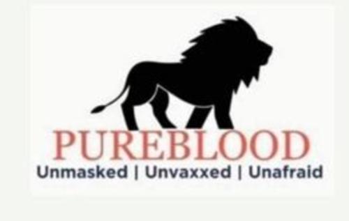 pureblood 890342174012957045740893570346
