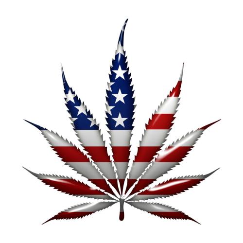 CANNABIS