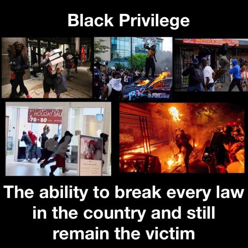 C831C750-F69D-4BE2-924F-D72C4F98D228