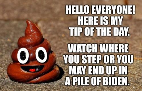pile of biden