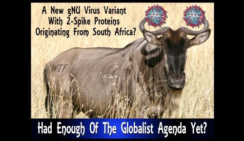 48fc981a-6c1a-4114-bc2e-cbd6a6f4b4d0