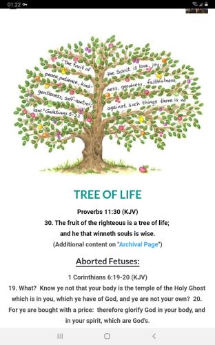 Screenshot_20211128-012241_Brave