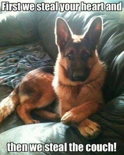 e17c0805-3a00-4fd4-93ba-fa1c21513dce