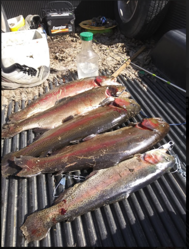 Capture+_2021-08-30-18-06-40(1)