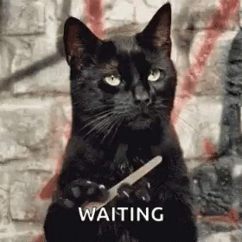 GifMeme 17112021042457