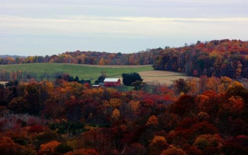 CC51BFDD-C21C-4F21-9E74-4C5D1FFD3019