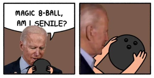 bidenbozolooksforanswers