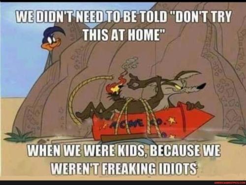 idiots