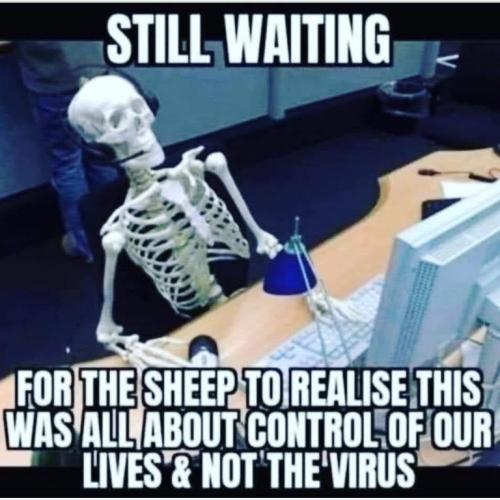 70efe5892dd02a665d4df6d7327b6eca_500x0