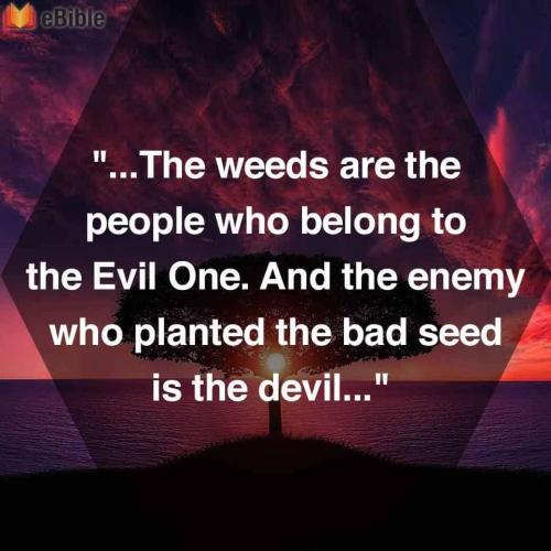 FB_IMG_1598628593268