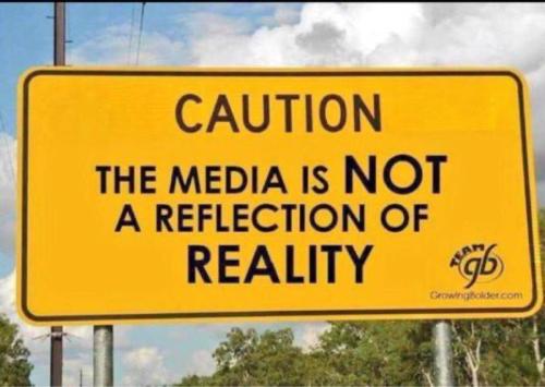 media not reality
