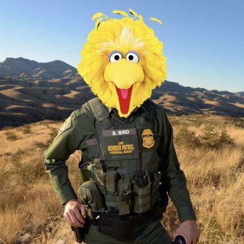 IMG_20211108_203455_076