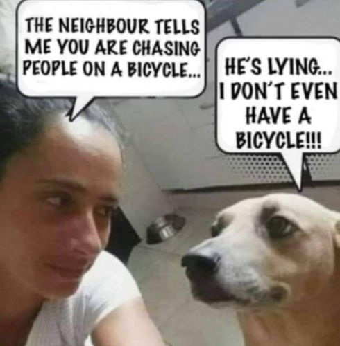 Capture+_2021-11-06-15-32-50(1)