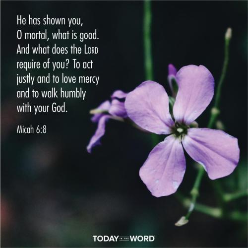 20B79CB5-37D4-458D-B067-A8ED9259B8F4