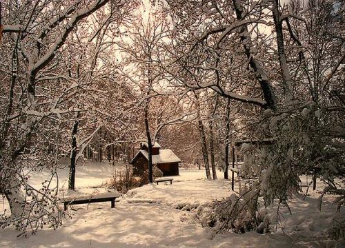 D2A996B7-021D-4642-ADFC-159F037F82EC