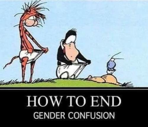 Gender Confusion How to End
