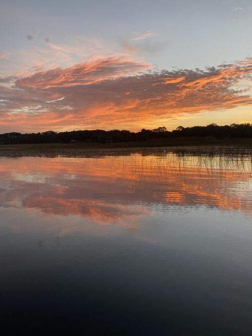 56954829-9493-4553-BAC8-F7B250DBEB62