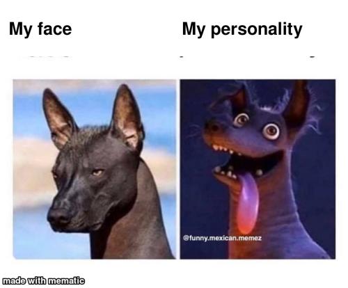 e12baadb-fcf3-4a6a-9550-00e359365780d (1)