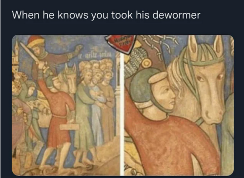 000his dewormer