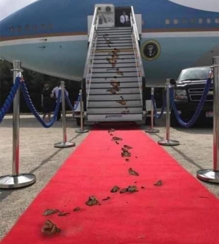 image_1635772811.932