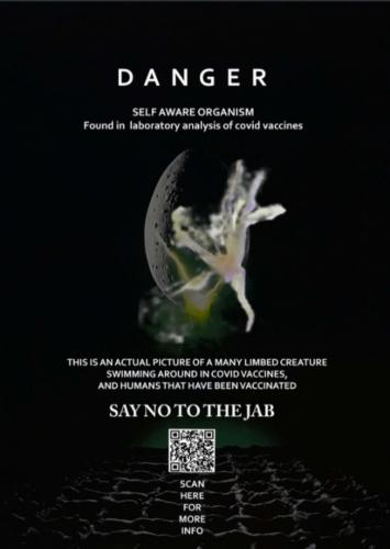 Screenshot_20211123-050226_MeWe