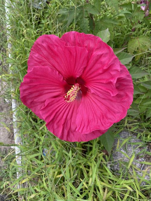 627F4C30-2916-474F-A2F0-D223C3A2AF99