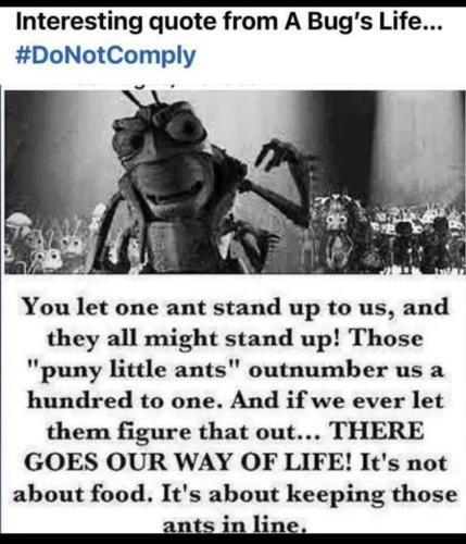 D843E583-1475-4E3F-BDCE-44AA341B9453