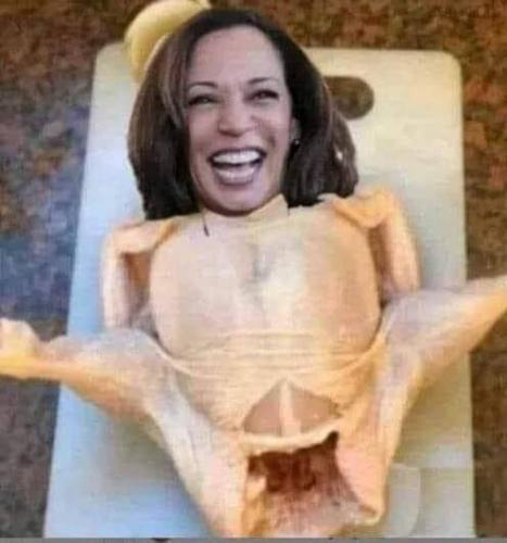 FDE049A3-AC0C-4FC5-B7F4-E1B3AA891D14