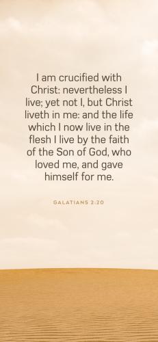 CD40748D-CF19-4601-A457-5BB442656DA4