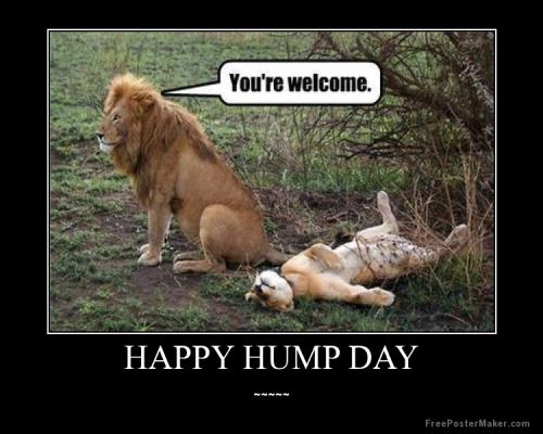 1146092904-happy-hump-day-0qoinO