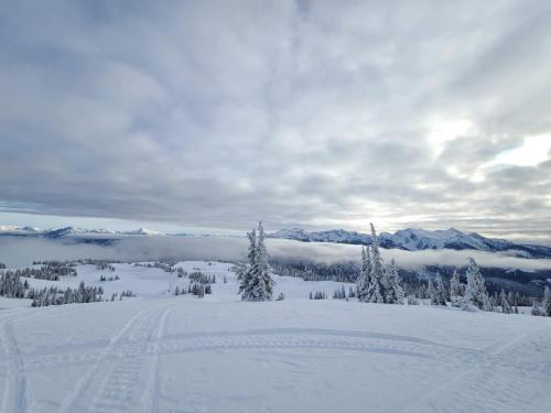 received_437964947213415