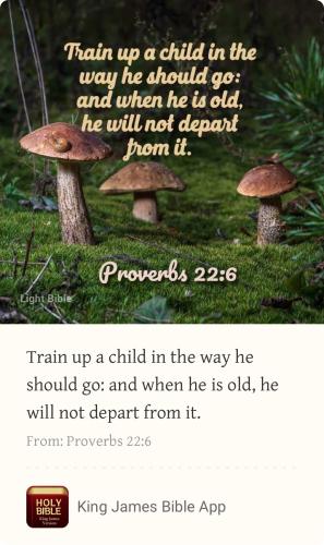 C87CFCE1-D7C2-4A0C-8224-3136B42EEB52