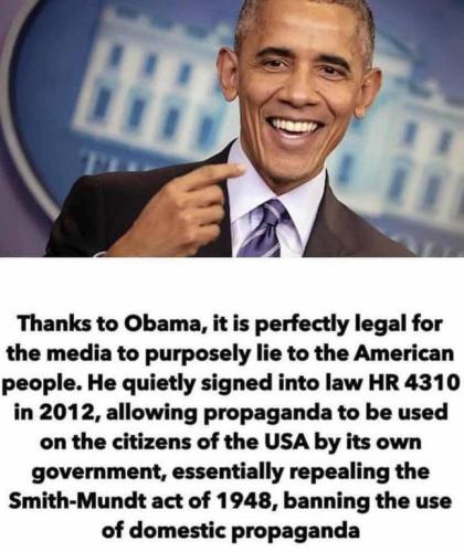 obama propaganda