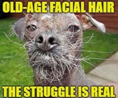 A9846936-8FAC-4806-A1C6-234B6110CCF8