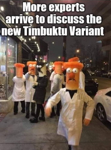 Capture+_2021-11-28-13-55-50(1)