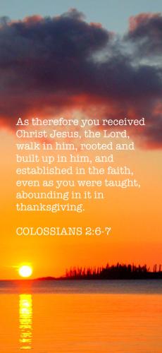 2BA3EE83-68DC-41C5-B51E-8A92CD22339F