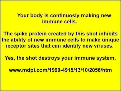 4bfd8e8b807f325e4517a756453a75ff_l