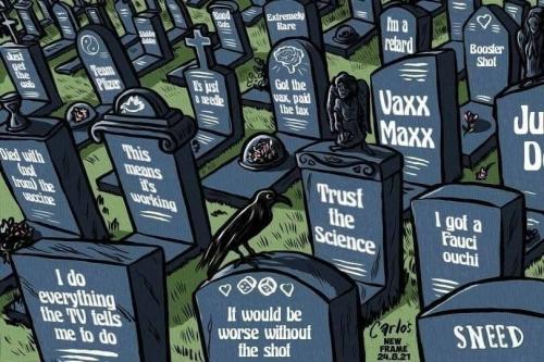 stupidisasstupiddoes