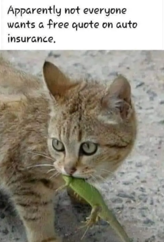 Capture+_2021-11-06-15-32-39(1)