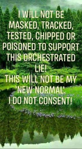 Screenshot_20211119-014012_DuckDuckGo