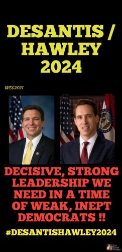 Screenshot_20211005-221645_Gallery