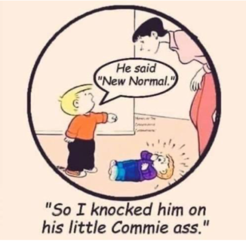 Cartoon - New normal...