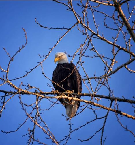 Screenshot_20200724-171850_Facebook