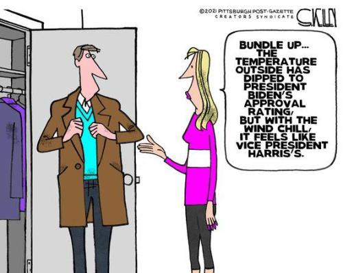 sngine_3129d8de9d7bcd361b20c1a23cefc506