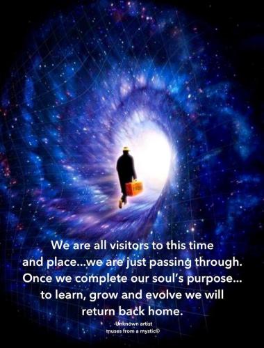 9c70d38732ced2873f18cd0013002d88