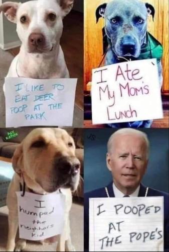 58C454CE-3B7B-44FD-87AE-CEF325E7A110