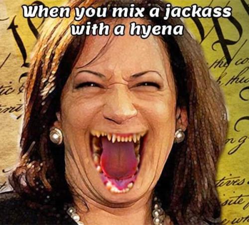 FB_IMG_1636416529174