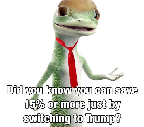 image_1637160501.109