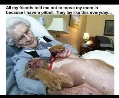 8B3DABFF-3646-44D5-9B16-56C58CD677FC