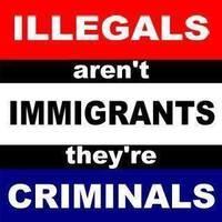 illegals aren't immigrants
